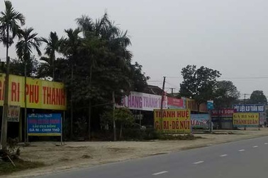 Phố gà Ri ở cửa ngõ Hà Nội 