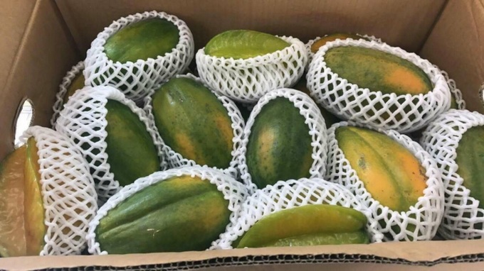 Đu đủ ở Việt Nam rẻ như cho, hàng nhập ngoại cả triệu đồng/quả - Ảnh 3. Đu đủ ở Việt Nam rẻ như cho, hàng nhập ngoại cả triệu đồng/quả - Ảnh 3.