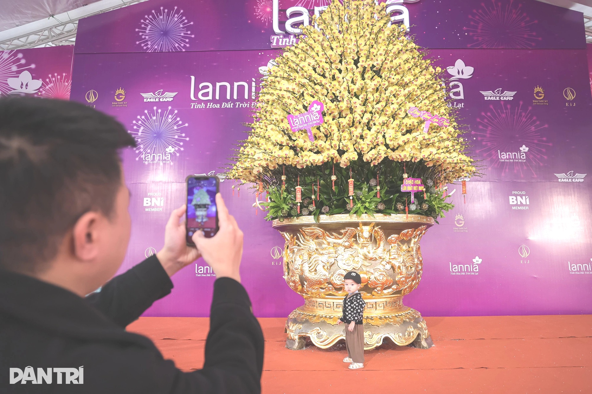 Chậu lan hồ điệp nghìn cành, nặng hơn 1 tấn có giá bán 3,8 tỷ đồng - 3 Chậu lan hồ điệp nghìn cành, nặng hơn 1 tấn có giá bán 3,8 tỷ đồng - 3