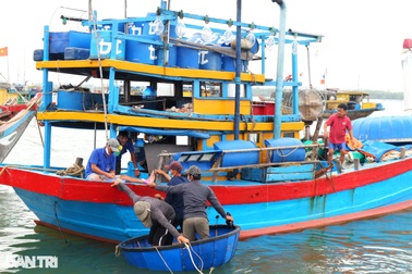 Xăng dầu tăng, hải sản rớt giá, ngư dân "cắn răng" vươn khơi