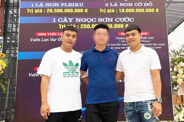 Truy tố 2 "đại gia sinh đôi" lan đột biến trong vụ than lậu ở Thái Nguyên