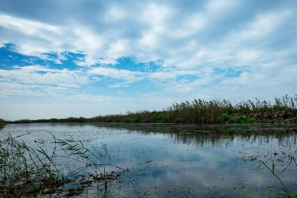 Cầu tre dài nhất thế giới, làm từ 66.000 tấm ván tre - 3