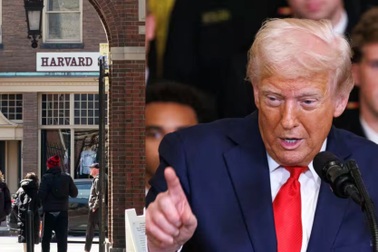 Nghị sĩ Anh kêu gọi đẩy mạnh "đón sóng" nhân tài khoa học từ Mỹ