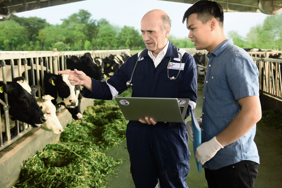 FrieslandCampina Việt Nam phát triển bền vững Vì một Việt Nam vươn cao vượt trội - 2 FrieslandCampina Việt Nam phát triển bền vững Vì một Việt Nam vươn cao vượt trội - 2
