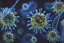 Biến thể mới của SARS-CoV-2 đang tăng nhanh trên toàn cầu có nguy hiểm?