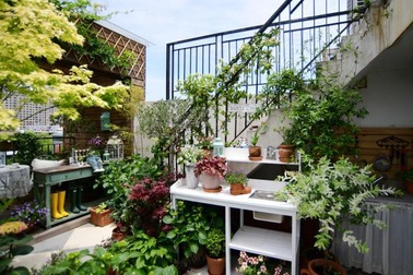 Vườn hoa sân thượng đẹp như thiên đường của vị giám đốc bận rộn