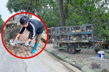 Nghĩa địa tận diệt chim trời Hà Nội: Vấn nạn nhiều năm nhưng khó ngăn chặn?