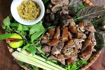 Nhóm khách Việt ngồi tù, bị phạt 770 triệu đồng vì giết hại và ăn thịt chó