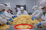Sau 2 năm đàm phán, 15 tấn củ sen Đồng Tháp đã được xuất đi Nhật Bản