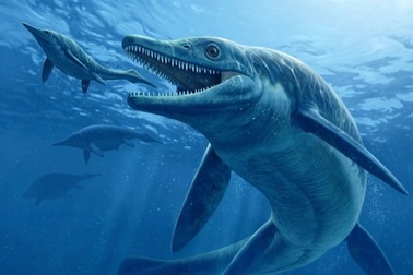 Quái vật biển khổng lồ dài 17 mét tiết lộ bí mật về "tiến hóa thần kỳ"