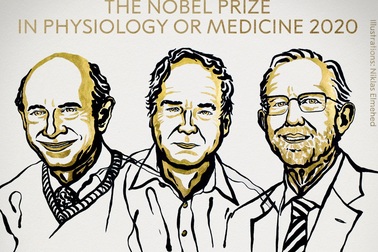 Ba nhà khoa học thắng giải Nobel Y Sinh học với nghiên cứu về viêm gan C