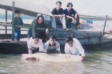 “Thủy thần sông Lam” vắng bóng