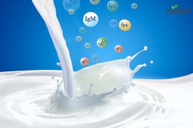 Làm sao để khắc phục tình trạng ốm vặt ở trẻ dưới 3 tuổi?