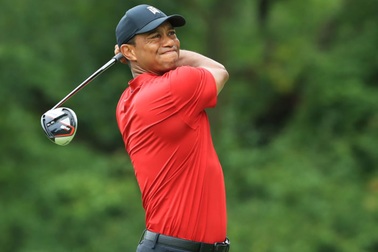 Một năm đáng thất vọng của Tiger Woods