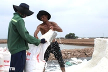 Làm muối "bục mặt" cả tháng thu 5 triệu, diêm dân than... thua làm thuê