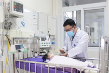 Rơi xuống bể nước khi đang chơi, bé 2 tuổi phải thở máy