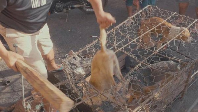 5 chính sách mới có hiệu lực cuối tháng 4/2021 - Ảnh 1. 5 chính sách mới có hiệu lực cuối tháng 4/2021 - Ảnh 1.
