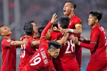 VFF lên kế hoạch cho vòng loại World Cup, tuyển Việt Nam tập trung sớm