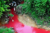 Hãi hùng dòng suối "máu" bất thường ở Điện Biên