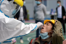 WHO trao đổi với các nhà khoa học Vũ Hán về nguồn gốc Covid-19