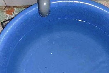 Ninh Bình: Sinh vật lạ trong nước sạch là ấu trùng ruồi cống