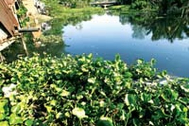 Dịch bệnh đô thị: Chưa biết bao giờ dừng lại 