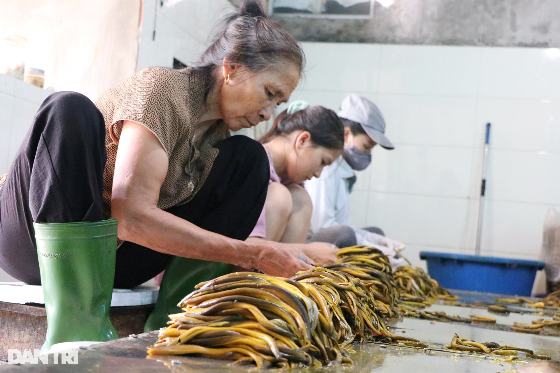 Người dân xứ đạo kiếm tiền tỷ mỗi năm với loại đặc sản trơn tuột - 9