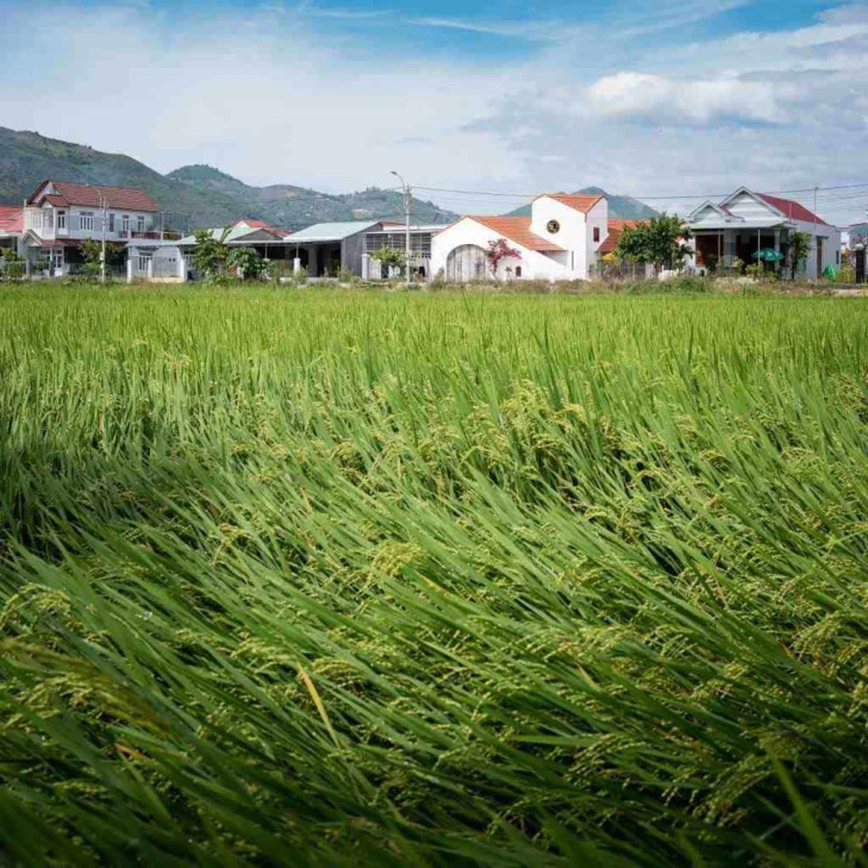 Vẻ sang trọng ẩn sau ngôi nhà ngói đỏ ở quê của gia đình Việt - 1