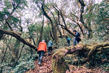 Hành trình chinh phục cung leo cao hơn 3000m, hiểm trở bậc nhất Tây Bắc