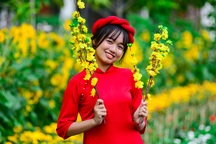 Du khách diện áo dài check-in con đường hoa xuân ở "phố nhà giàu"