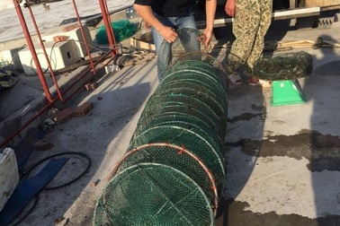 Nhờ tôm, thương binh nghèo thành tỷ phú