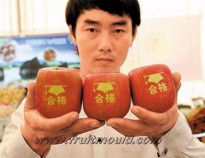 Tròn mắt ngắm táo vuông có chữ may mắn - 7