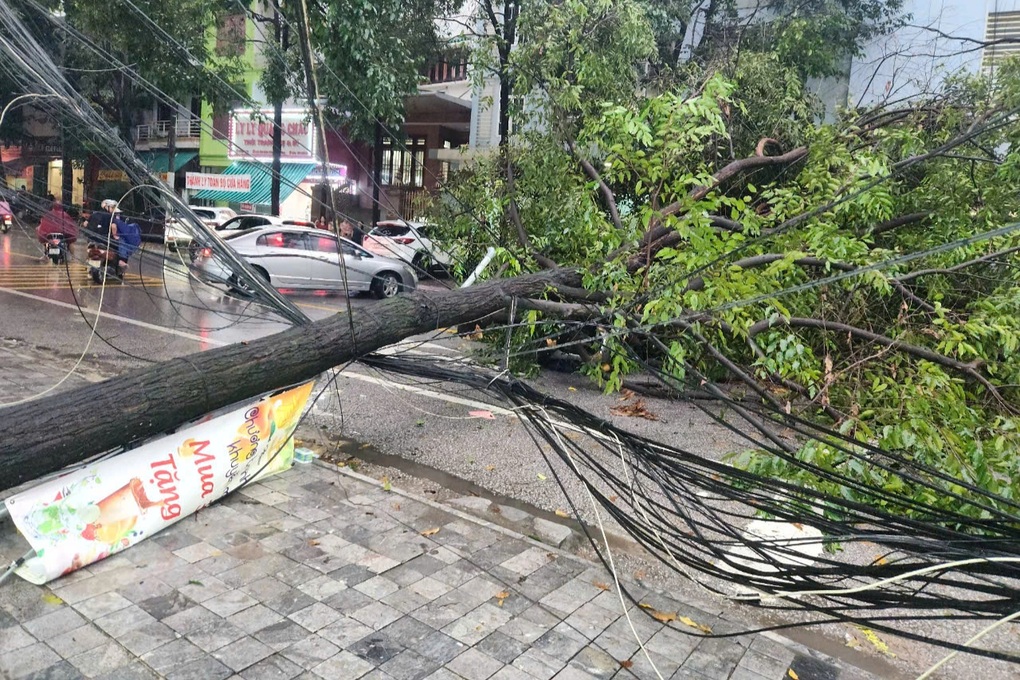 Cây đổ đè trúng 2 xe máy, tài xế may mắn thoát nạn - 1 Cây đổ đè trúng 2 xe máy, tài xế may mắn thoát nạn - 1