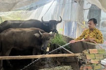 Những mô hình giảm nghèo bền vững tiêu biểu giai đoạn 2012-2025