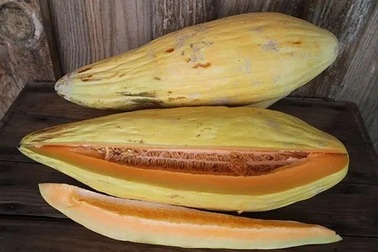 Ngạc nhiên với loại quả có vị dưa lưới, thơm mùi chuối