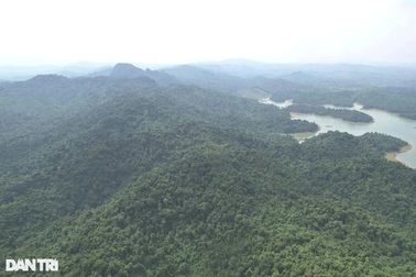 Chi trả gần 118 tỷ đồng tiền bán "hơi thở của rừng"