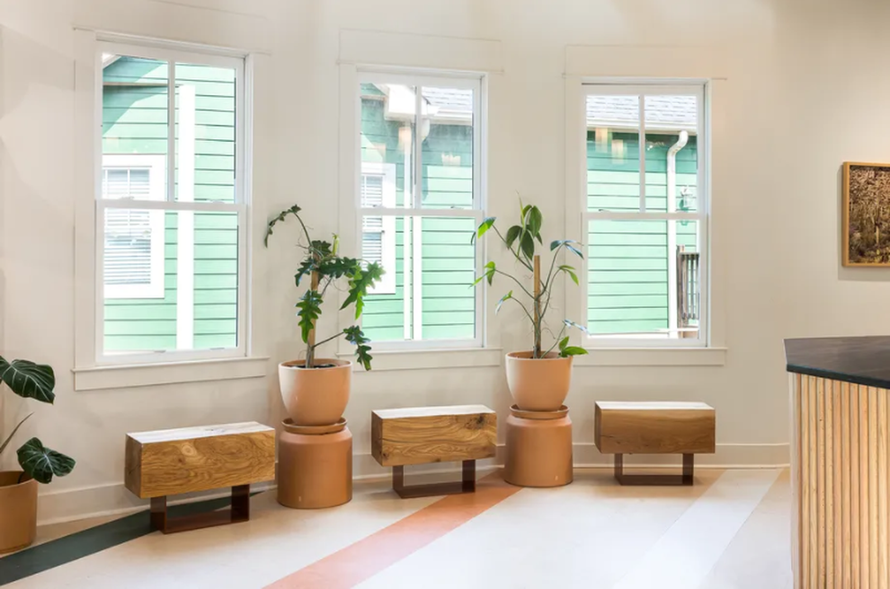 Quán cà phê đẹp như tranh, phủ xanh không gian bằng hệ thực vật phong phú - 4 Quán cà phê đẹp như tranh, phủ xanh không gian bằng hệ thực vật phong phú - 4