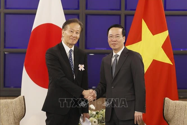 Chủ tịch nước Võ Văn Thưởng tiếp lãnh đạo Hiệp hội Hữu nghị Kyushu - Việt Nam