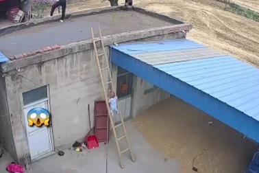 Bố phản ứng nhanh cứu con nhỏ khỏi tai nạn nghiêm trọng