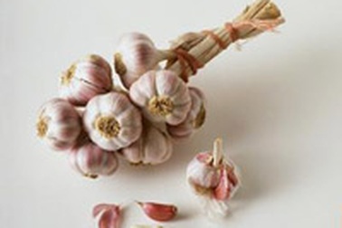 Tỏi - vị thuốc từ thiên nhiên