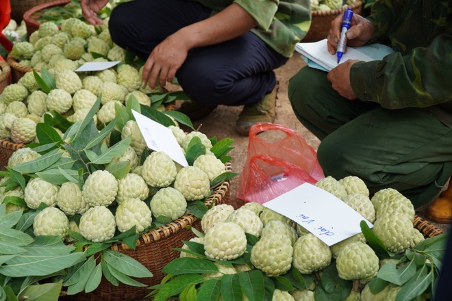 Cảnh những chuyến na “bay trên trời” ở Lạng Sơn - 14 Cảnh những chuyến na “bay trên trời” ở Lạng Sơn - 14
