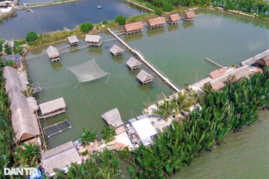 Nghề dựng nhà bằng dừa nước, tính công bằng... đô-la