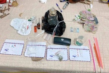 Bắt nghi phạm tàng trữ nhiều loại ma túy tại Hải Phòng