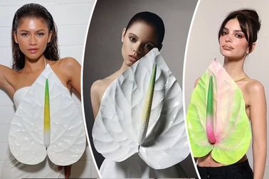 Ý nghĩa đằng sau chiếc áo hoa hồng môn gây sốt