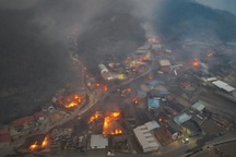 Ít nhất 16 người chết do cháy rừng dữ dội ở Hàn Quốc