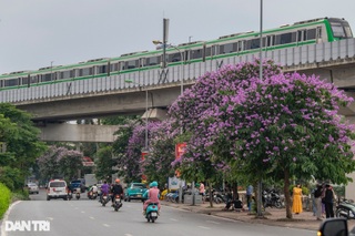 Bức tường phố Lò Sũ và những địa điểm khiến giới trẻ Việt xếp hàng chụp ảnh - 8