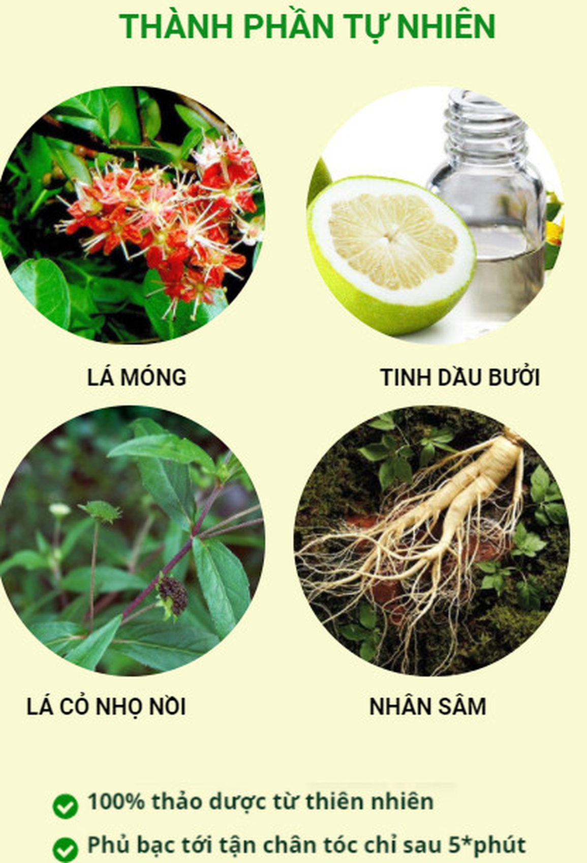 Dầu gội phủ bạc thảo dược Kotoba giúp bạn tự tin mỗi ngày - 2 Dầu gội phủ bạc thảo dược Kotoba giúp bạn tự tin mỗi ngày - 2
