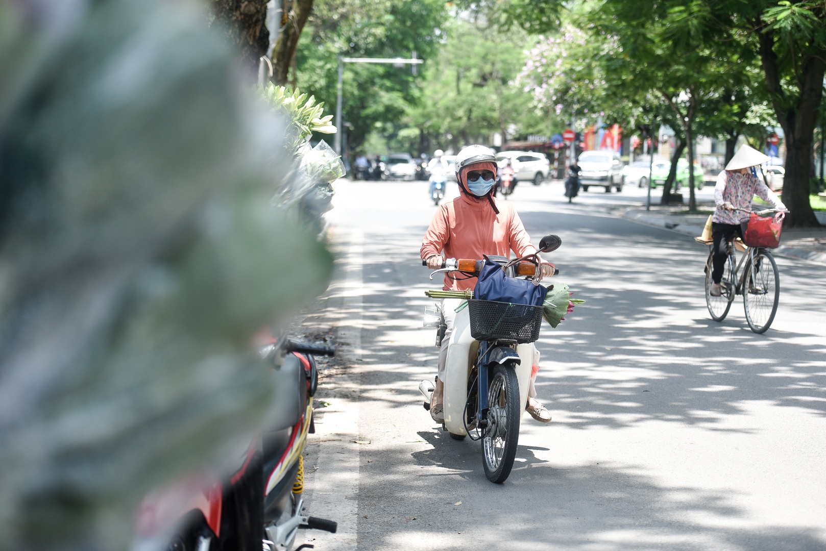 Hà Nội: Ngẩn ngơ với sắc sen đầu mùa xuống phố - 16 Hà Nội: Ngẩn ngơ với sắc sen đầu mùa xuống phố - 16