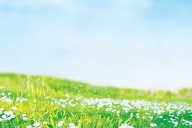 Đi tìm bí mật của hạnh phúc