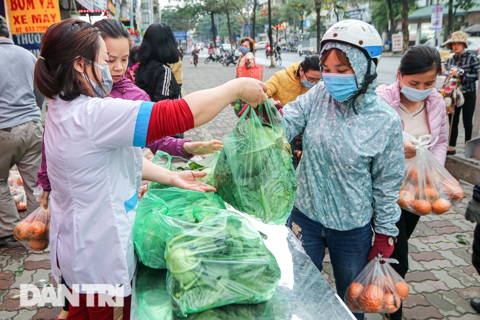 Phát miễn phí cam Hà Giang đến bệnh nhân, người lao động gặp khó khăn - 9 Phát miễn phí cam Hà Giang đến bệnh nhân, người lao động gặp khó khăn - 9